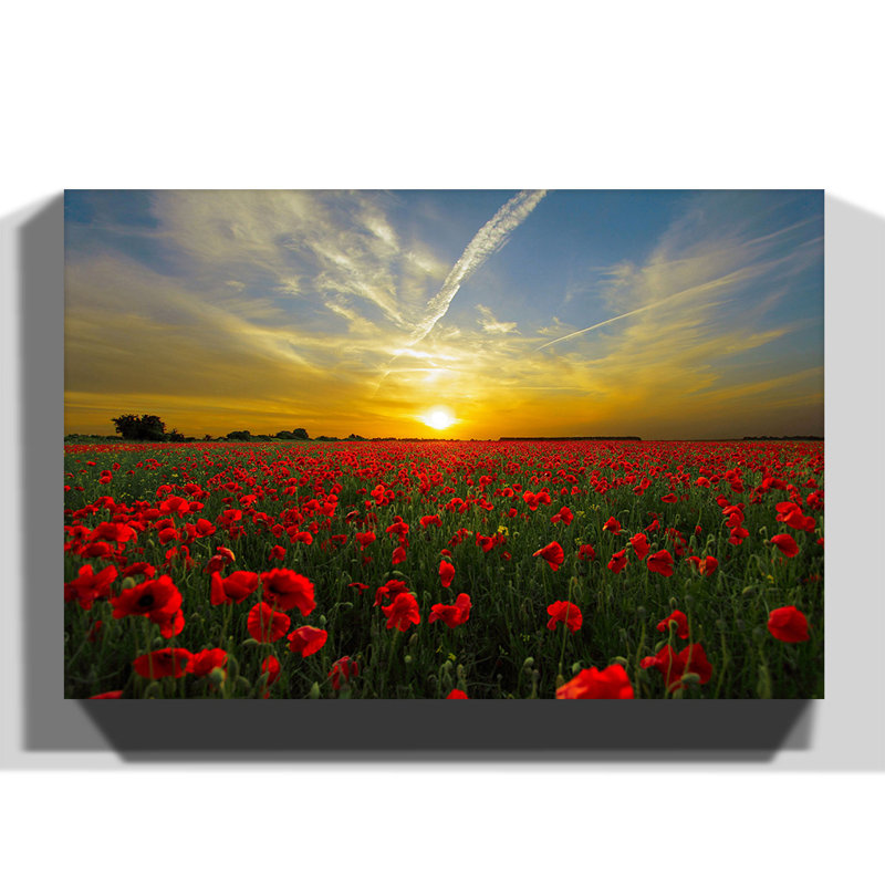 Wrapped Canvas Print, 50cm H x 76cm W