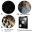 «Leopard Mysterious Hunter I», reproduction sur toile-423677257-423677259
