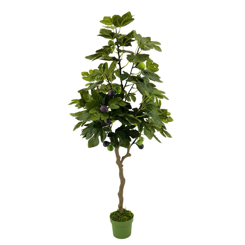 Arbre à fruits en pot vert 48 po