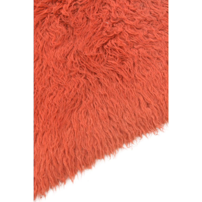 Iraheta Orange Rug