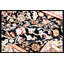Walton Oriental Area Rug