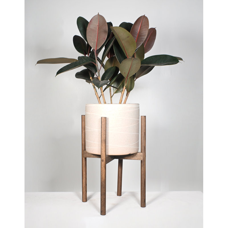 Pot à fleurs en céramique Heitman, Noyer foncé