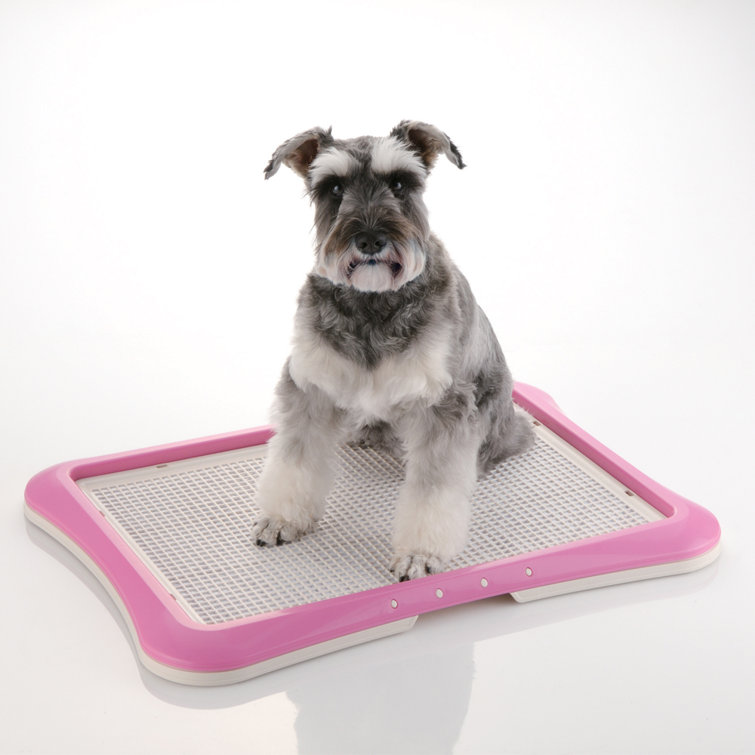 Richell Paw Trax Mesh Dogs Training Tray, Pink
