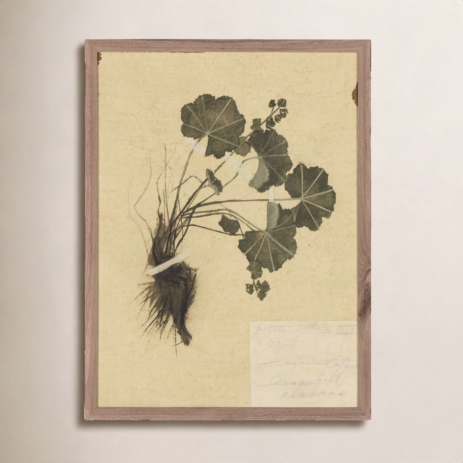 "Petite Study No. Vii" by Hannah Winters, 18" H x 14.5" W