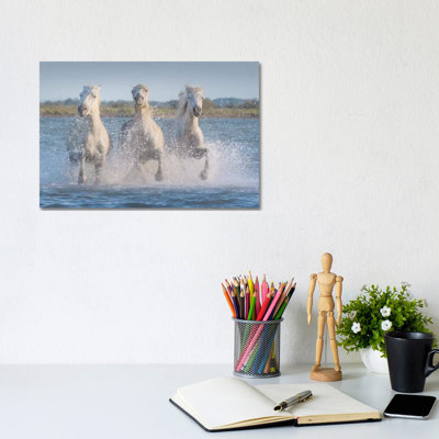White Angels Of Camargue XVIII by Daniel Kordan - Wrapped Canvas Gallery-Wrapped Canvas Giclée