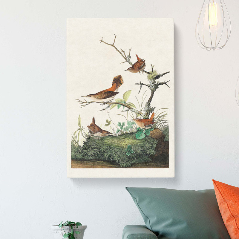 Wrens by John Audubon - Wrapped Canvas, 60cm H x 40cm W x 3cm D