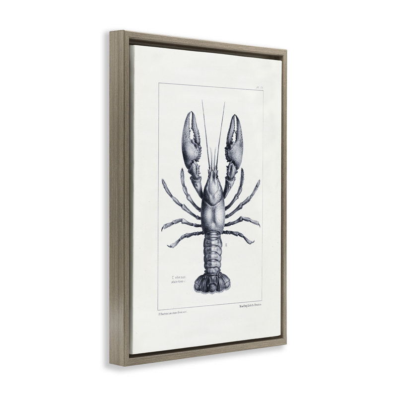 Cadre flottant à spéculation scientifique de type homard, design par Tina Higgins Designs Inc., H 25 po x l 17 po, Brun