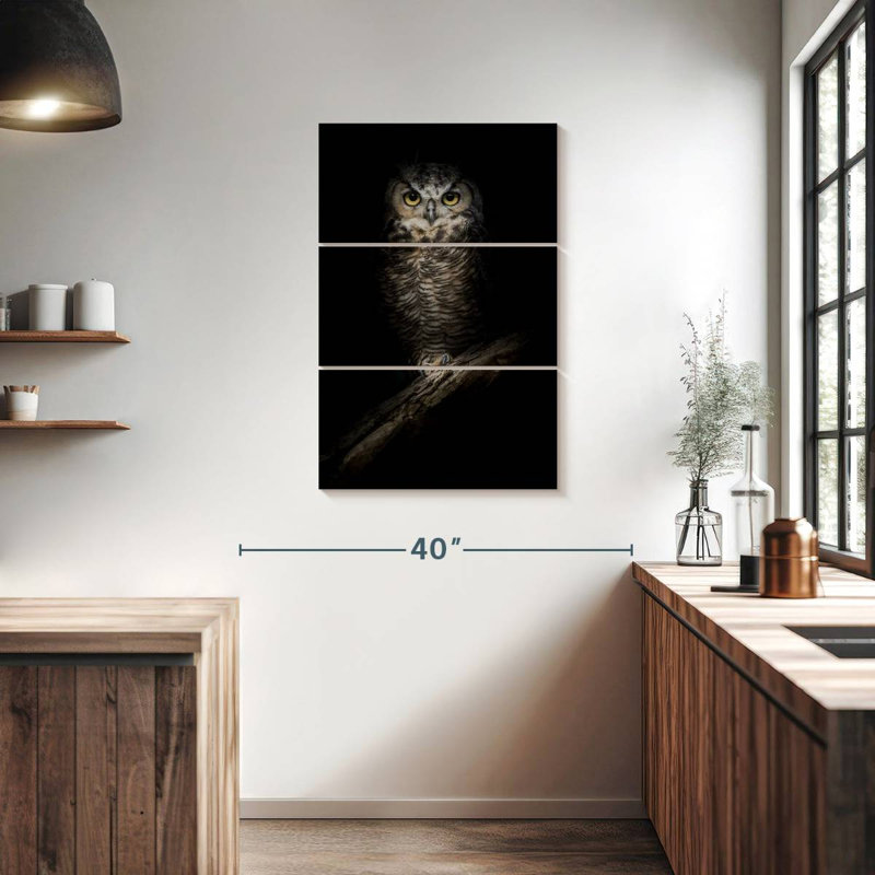 Brampt Wise Night Owl, 38" H x 24" W