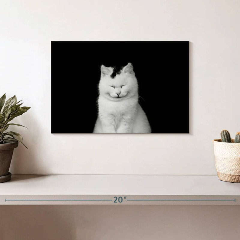 Brampt Delighted White Cat, 8" H x 12" W