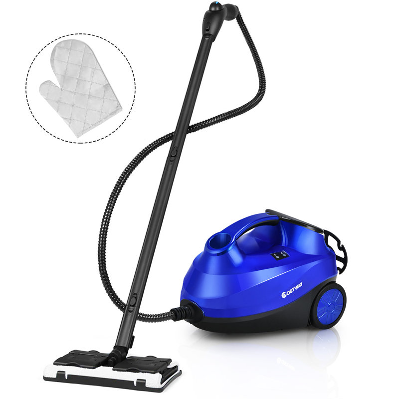 Nettoyeur vapeur Costway