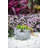 Joynae Cement Indoor / Outdoor Pot Planter
