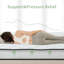 Wayfair Alwyn Home 6" Medium Euro Top Hybrid Innerspring Mattress-1512015050