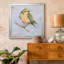 Variété d'oiseaux II - reproduction de photo sur toile-1976692133-1976692128