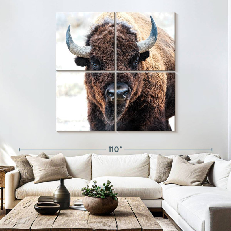 Bison d'Amérique - un trésor national, H 74 po x l 74 po