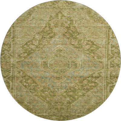 Premium Machine Washable Lubbers AMF1761 Border Rug