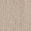 Canvas Sand