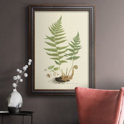 " Curtis Ferns II " Painting Print
