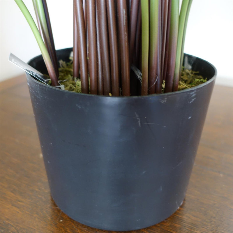 Artificial Foliage Plant in Pot Liner, 60 cm x 60 cm