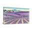 Paysage et nature champs de lavande Rolling Hills Farmhouse Mountains-1531296974