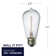 40 Watt Equivalent, ST18 LED, Antique Dimmable Light Bulb, (2200k) E26/Medium (Standard) Base