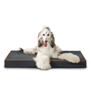 Lit en polyester pour animaux