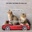 Grattoir de voiture en forme de chat-1859794388