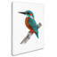 « mr. kingfisher », reproduction d’impression sur toile tendue-22070954