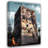 Brick Mansions