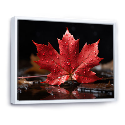 Canada Canada Pride III