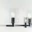 Haines 4 Light Transparent Dimmable Vanity Light-158064468
