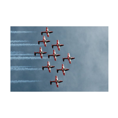 Bolog Ugur Erkmen Snowbirds Canvas Art