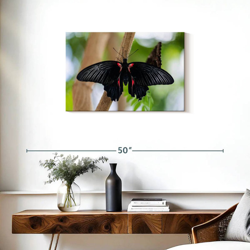 Papillon de machaon