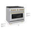 ZLINE 36 in. 6 Burner Gas Range with Convection Gas Oven in Stainless Steel and Accents