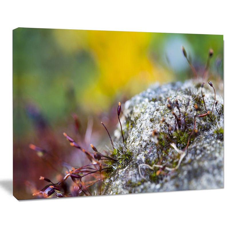 Composition abstraite de fleurs en mousse moderne, reproduction de photo sur toile tendue, H 20 po x l 12 po x P 1po