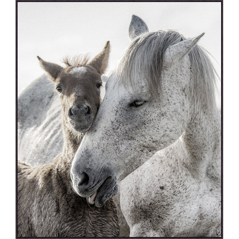 Gentle Souls