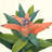 Tropical Bloom IV by Megan Meagher - Wrapped Canvas Painting-515683453