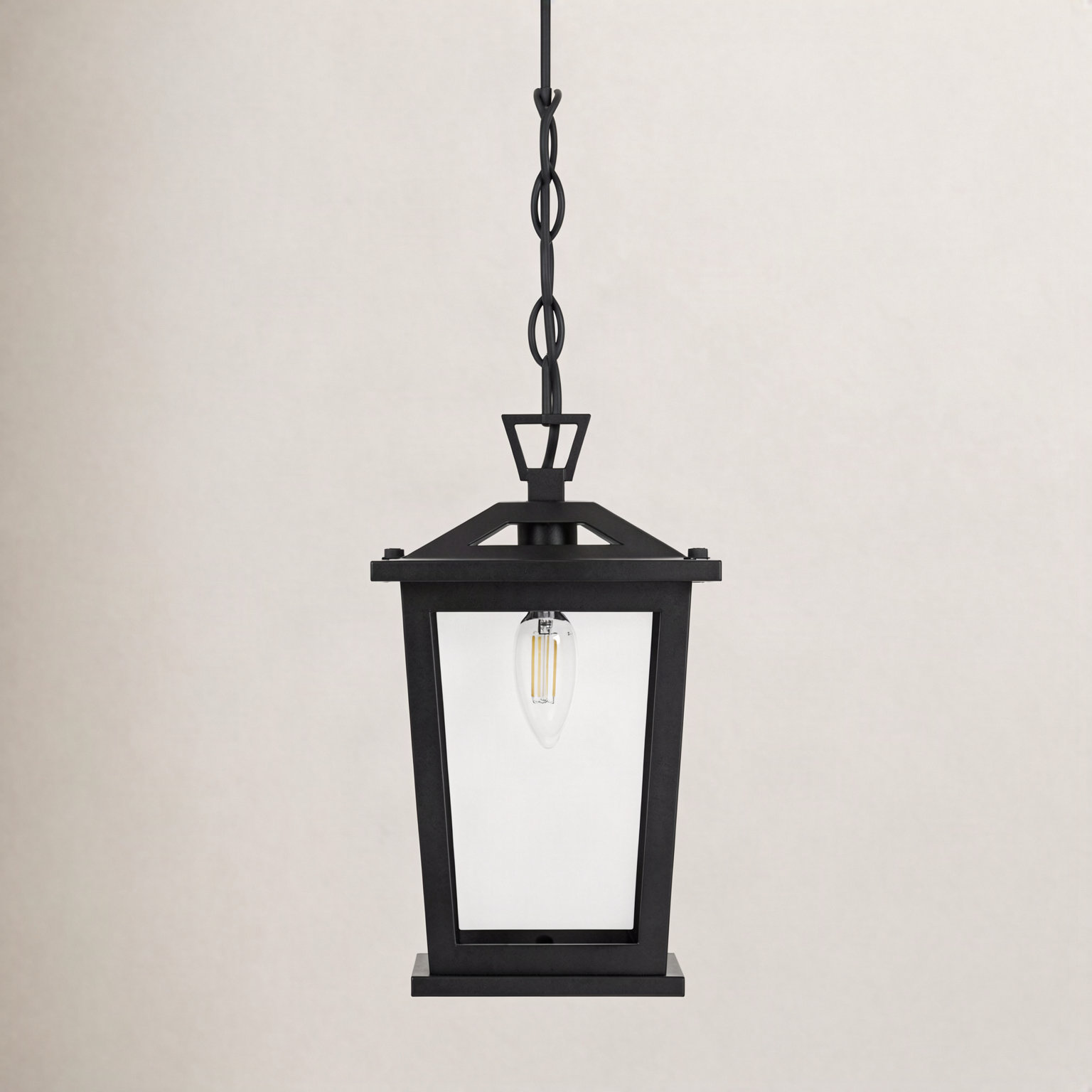 Outdoor Pendant Light