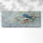 " Blue Bird In Winter "-475331183