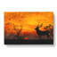 Stag at Sunset - Wrapped Canvas-61849664