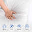 Coussins en plumes d'oie avec housse en coton Hotel and Resort-1088593171-1077758928