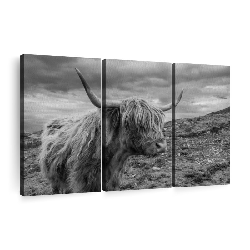 «Monotone Highland Cow», reproduction sur toile, H 24 po x l 38 po x P 1,25 po