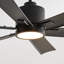 Generation Lighting Fan Teasley Indoor Ceiling Fan with Threaded Downrod, Midnight Black ABS blades and Handheld Remote