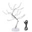 Bonsaï avec arbres et branches éclairés-88410164