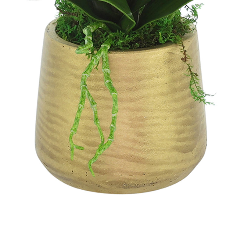Pink Orchid Arranged in Gold Fiberstone Pot