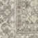 Oriental Indoor Rug