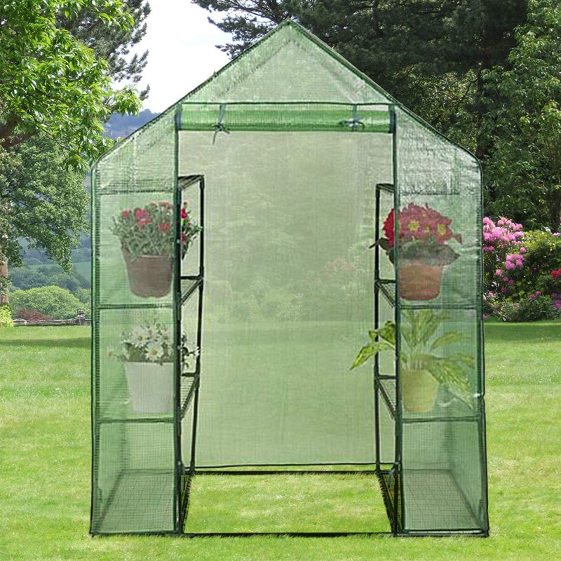 Amruta 5 Ft W x 2 Ft D Greenhouse