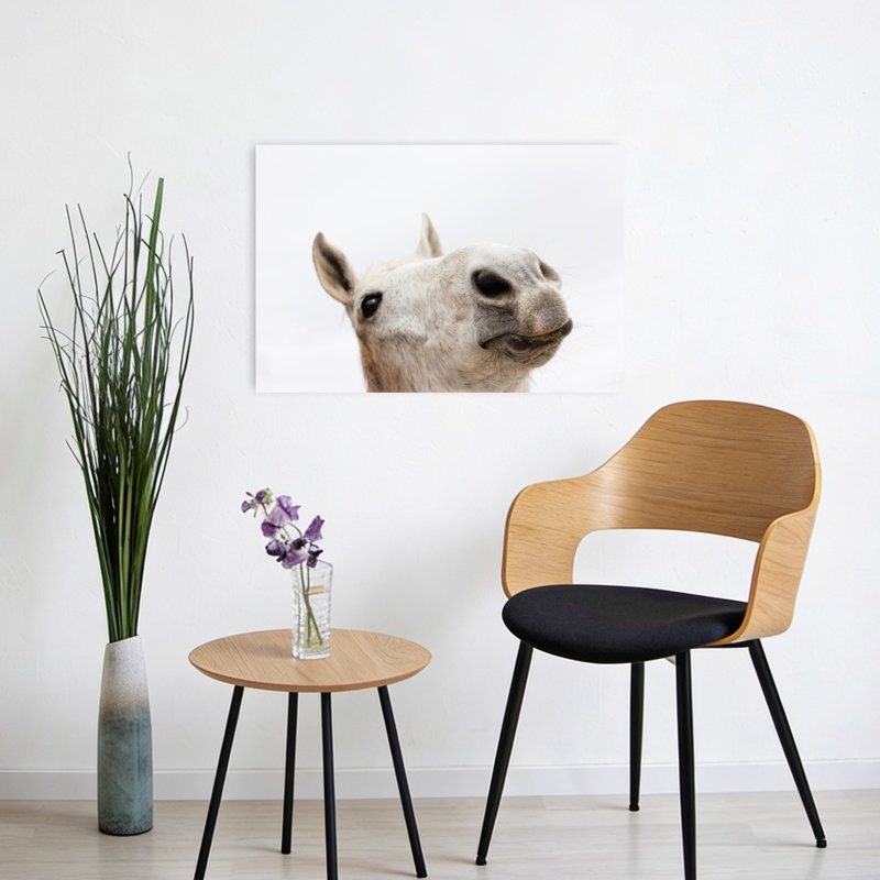 «Curious White Horse Minimalist Playful Abstract Horse Portrait Landscape», art mural