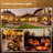 50FT LED Outdoor String Lights Timer Control with Bulbs, Black