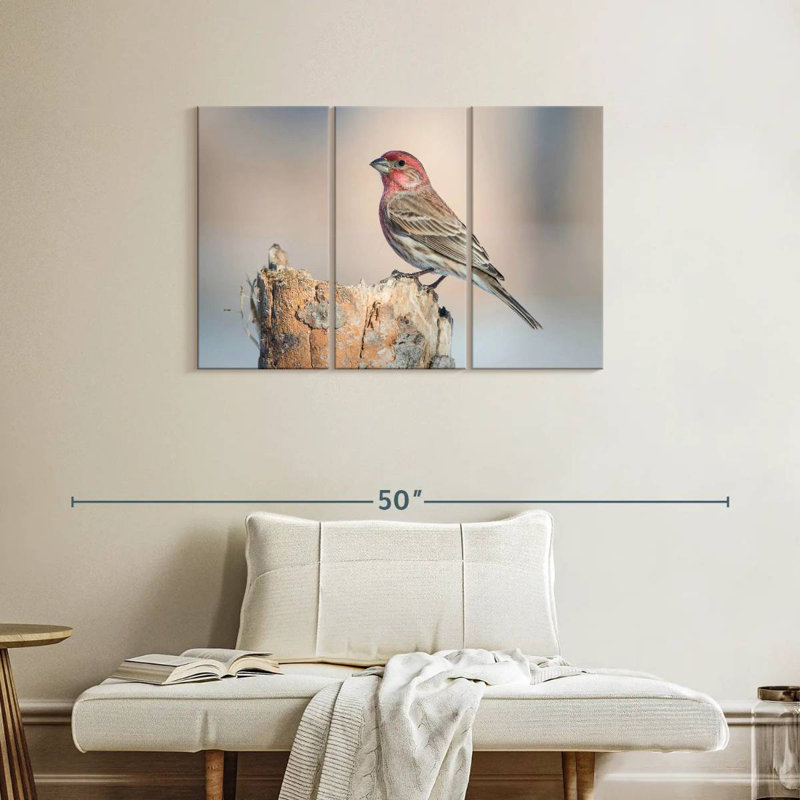 House Finch Bird, 24" H x 38" W