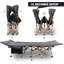 Grand lit pliant 33 "avec sac de transport pour l'intérieur et l'extérieur, gris-73483055